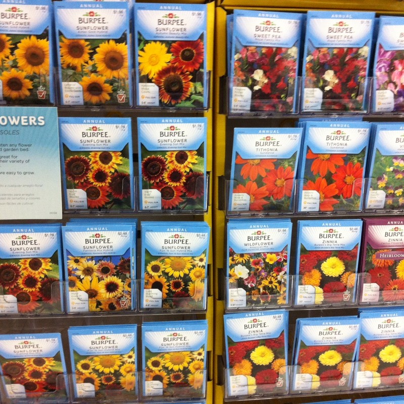 Flower Seed Collection