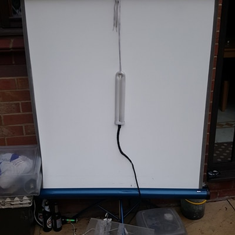 Garden Pest Trap