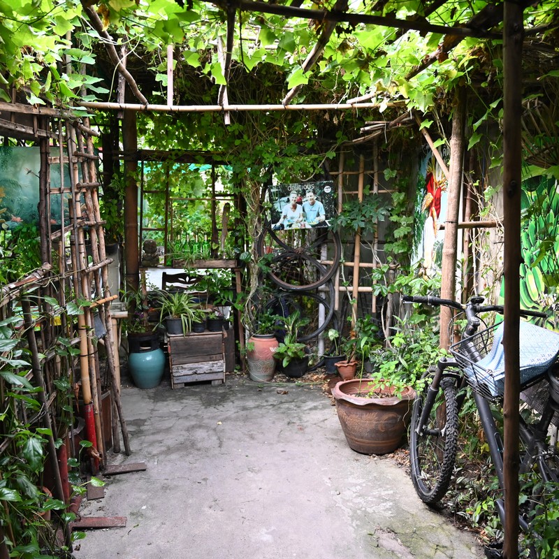 Garden Trellis