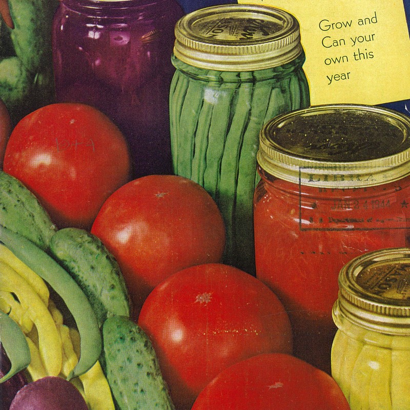 Kitchen Garden Seed Kit