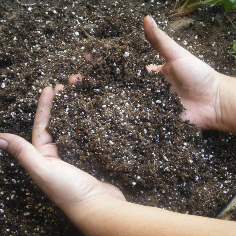 Perlite