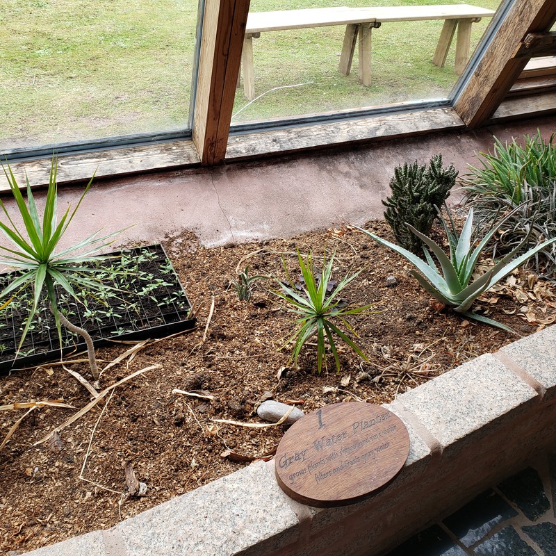 Self-Watering Planter