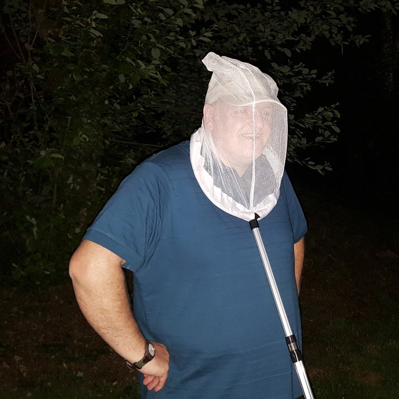 Sticky Insect Trap