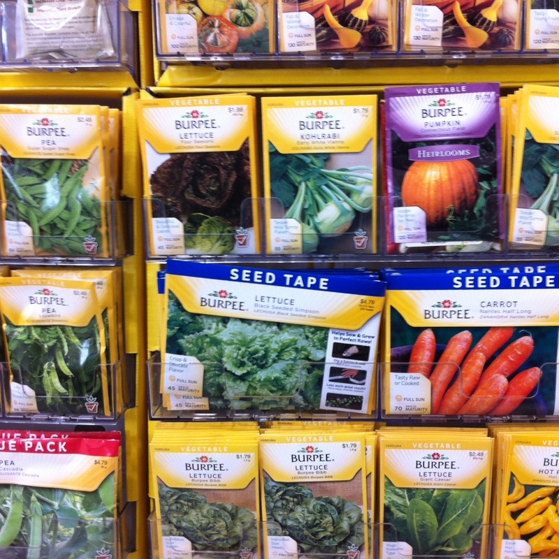 Vegetable Seed Collection